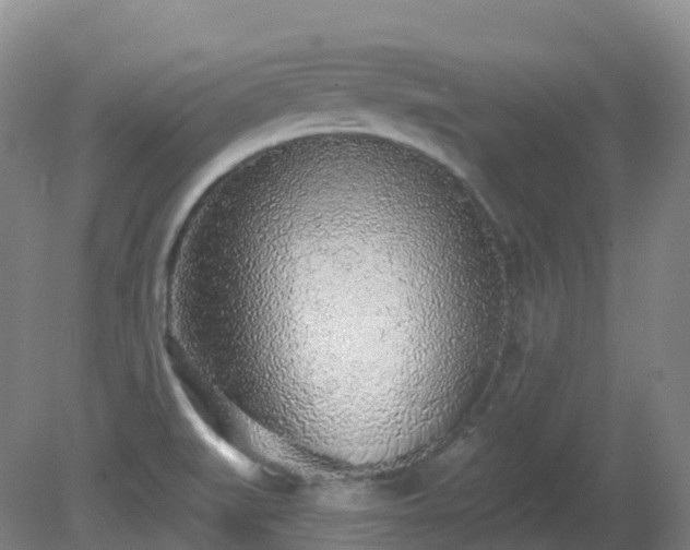 X0000081321519200701181915