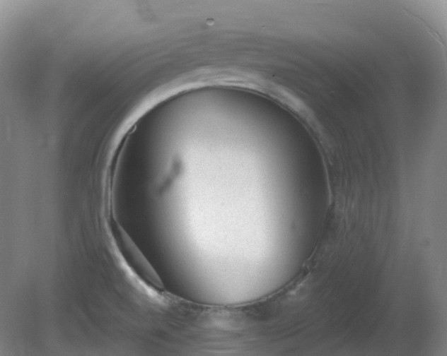 X0000081321520200701181915