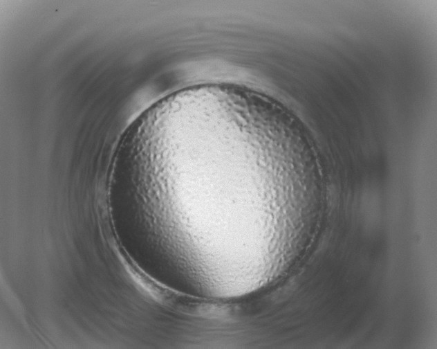 X0000081321521200701181915