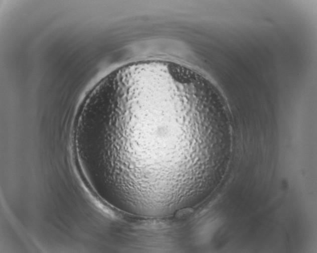 X0000081321525200701181915