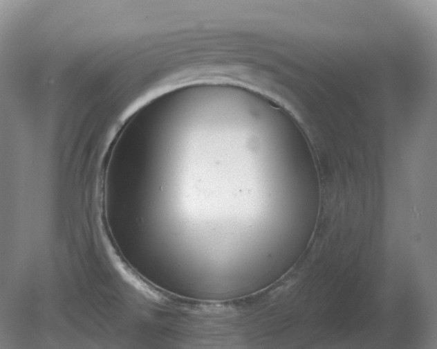 X0000081321526200701181915