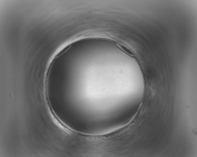 X0000081321528200701181915