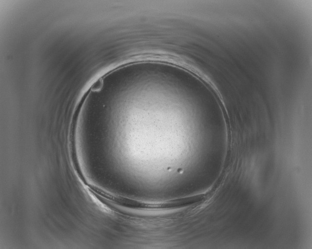 X0000081321533200701181915