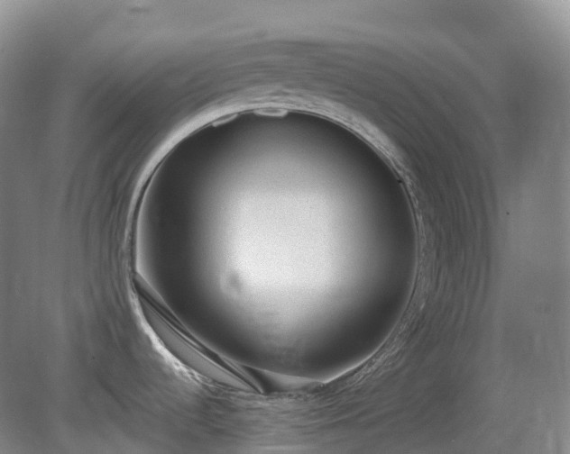 X0000081321536200701181915