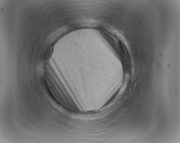 X0000081320017200701251819