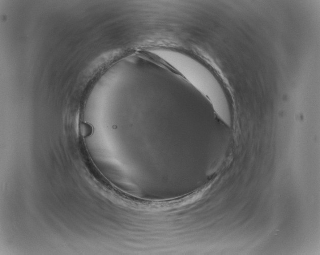 X0000081320019200701251819