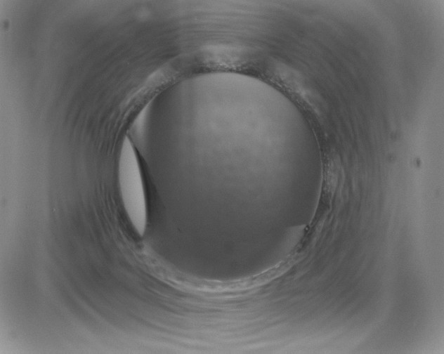 X0000081320027200701251819