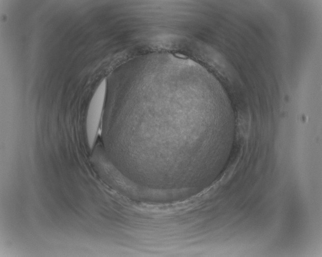 X0000081320029200701251819
