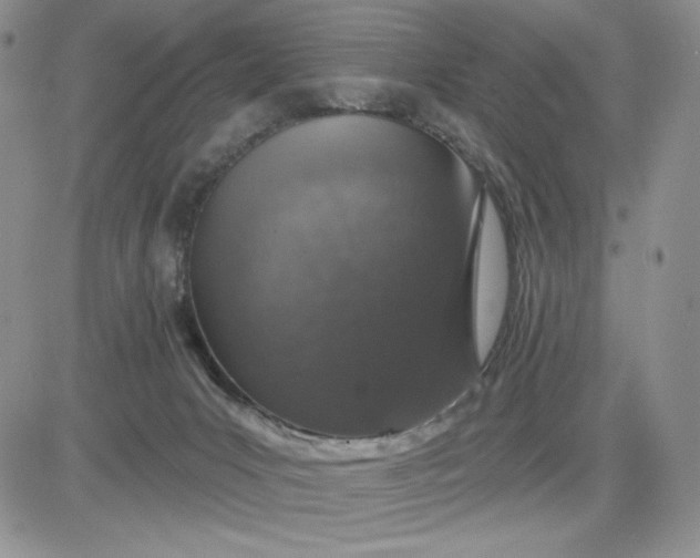 X0000081320031200701251819