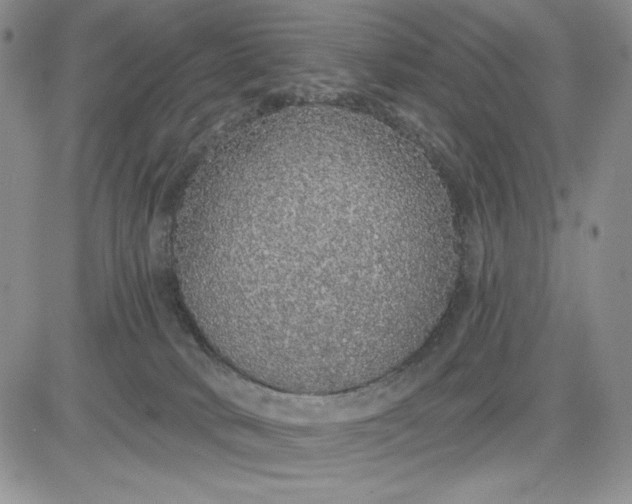 X0000081320034200701251819