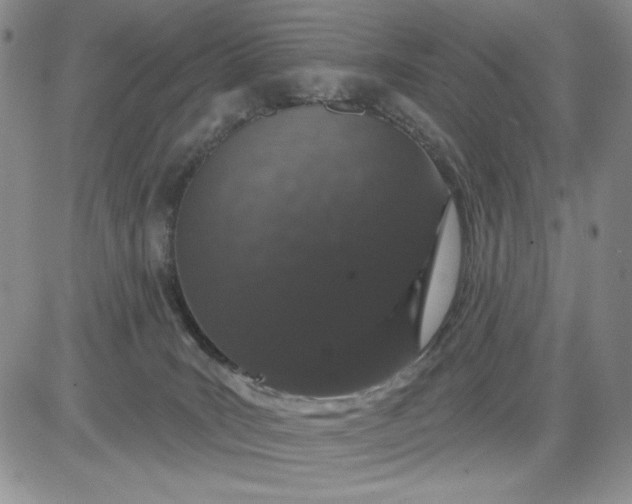 X0000081320035200701251819