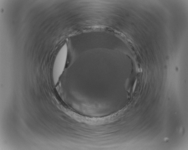 X0000081320039200701251819