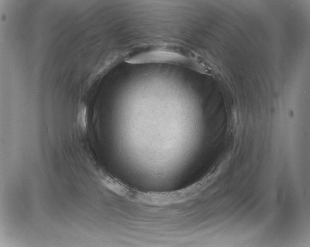 X0000081320041200701251819