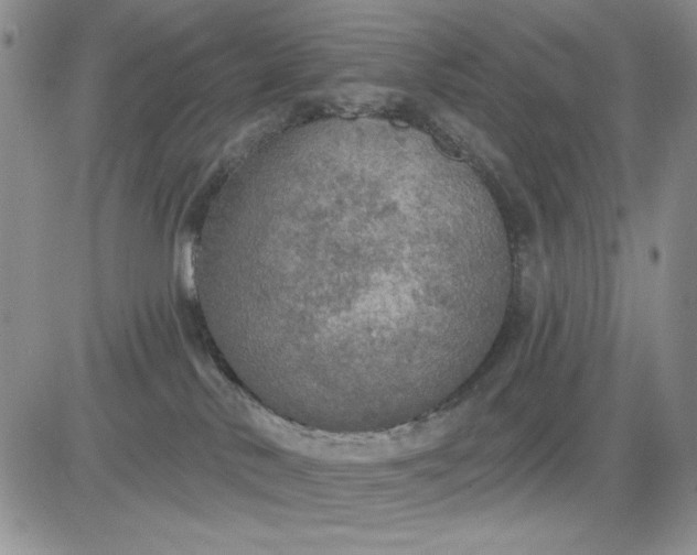 X0000081320042200701251819