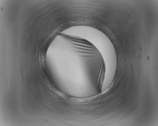 X0000081320045200701251819