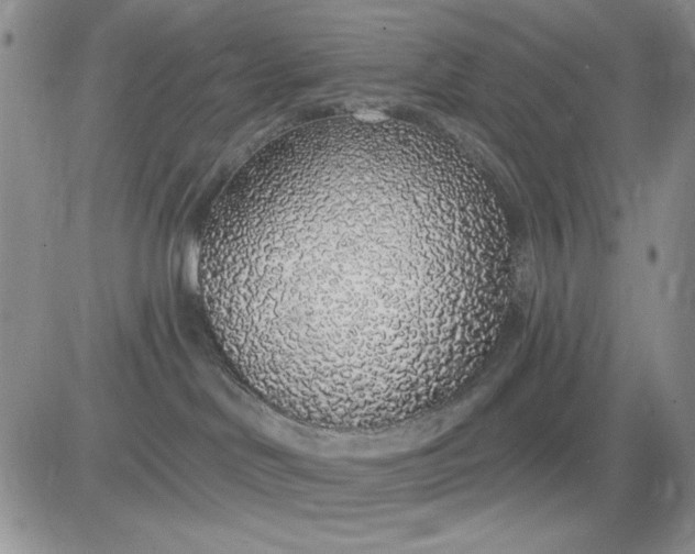 X0000081320046200701251819