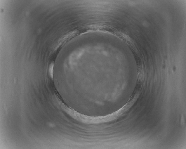 X0000081320047200701251819