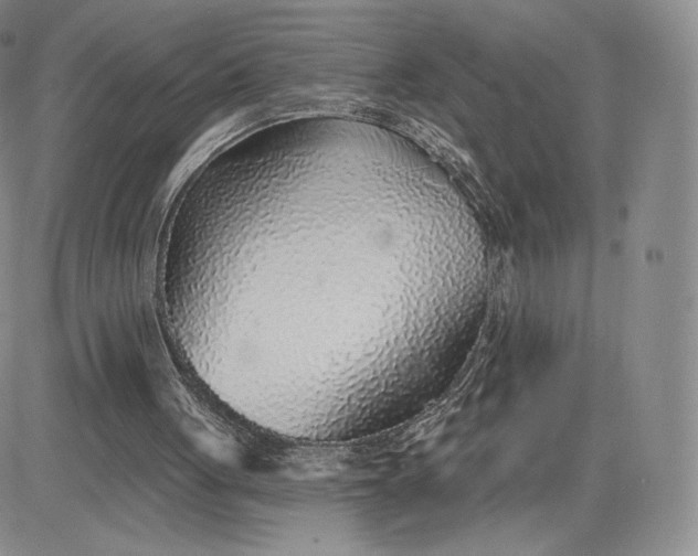 X0000081320051200701251818
