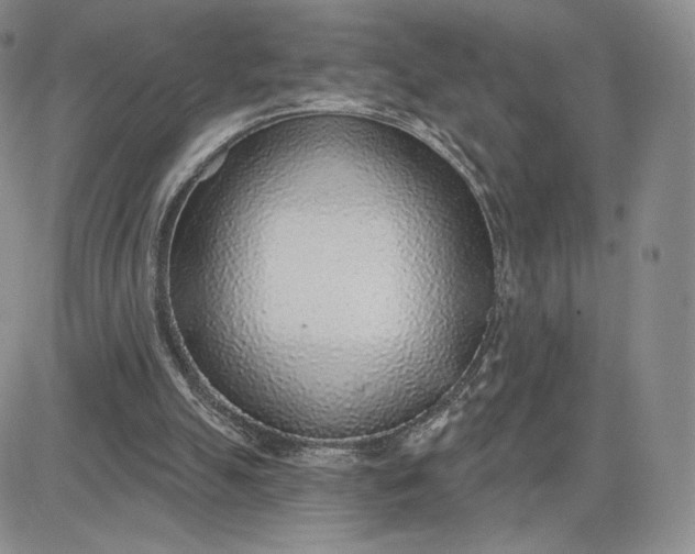 X0000081320055200701251818