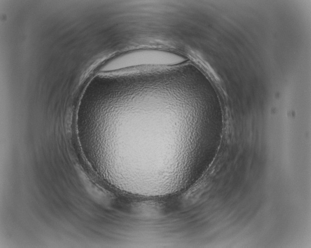 X0000081320058200701251818