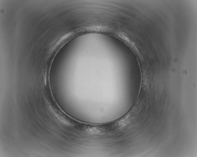 X0000081320062200701251818