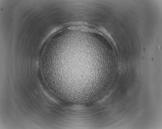 X0000081320063200701251818