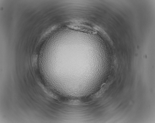 X0000081320066200701251818