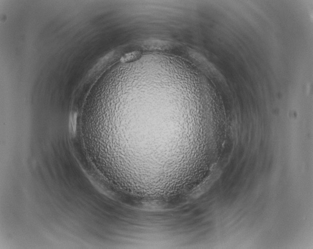 X0000081320070200701251818