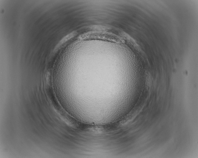 X0000081320071200701251818