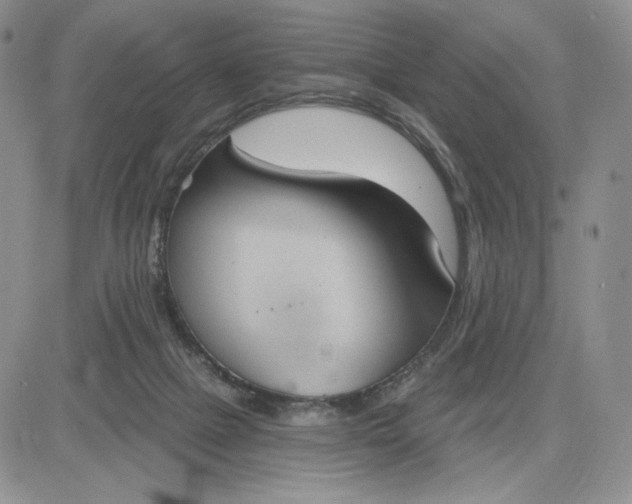 X0000081320073200701251818