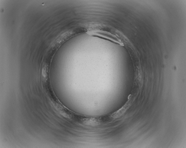 X0000081320074200701251818