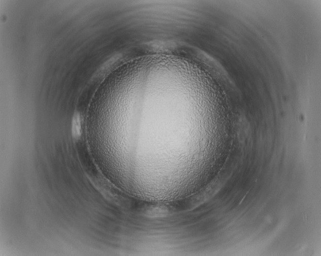 X0000081320075200701251818
