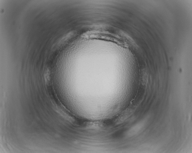 X0000081320077200701251819