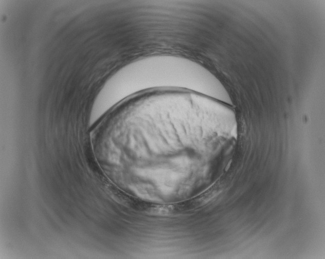 X0000081320080200701251819