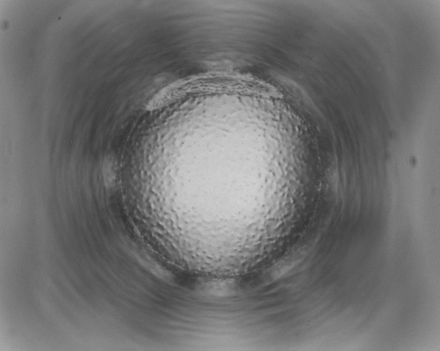 X0000081320081200701251819