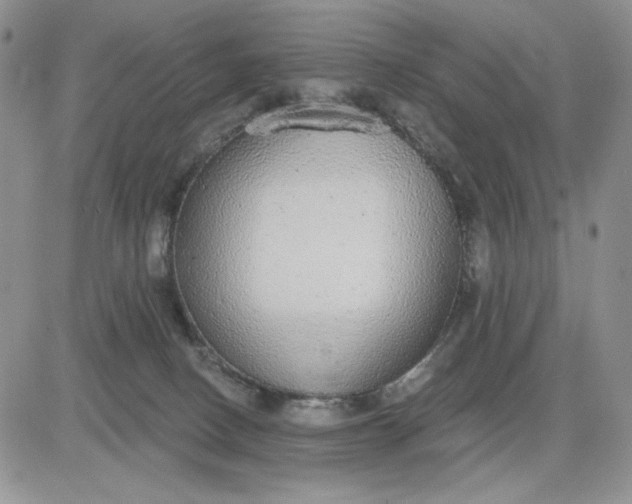 X0000081320082200701251819