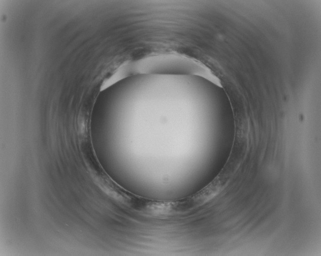 X0000081320084200701251819