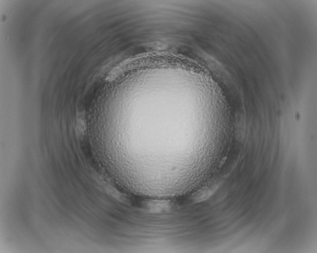 X0000081320085200701251819