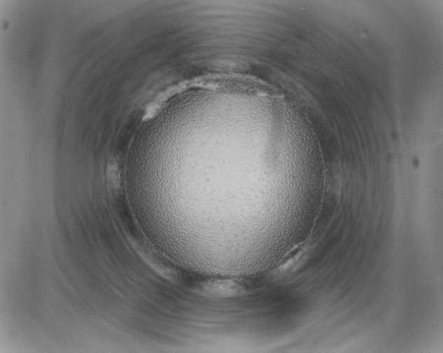 X0000081320086200701251819