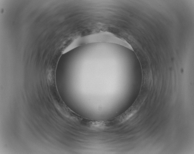 X0000081320088200701251819