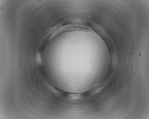 X0000081320089200701251819
