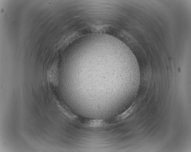 X0000081320090200701251819