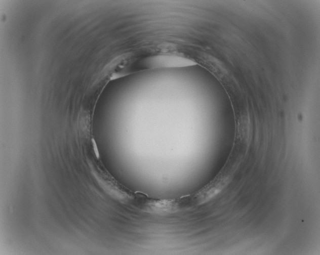 X0000081320092200701251819
