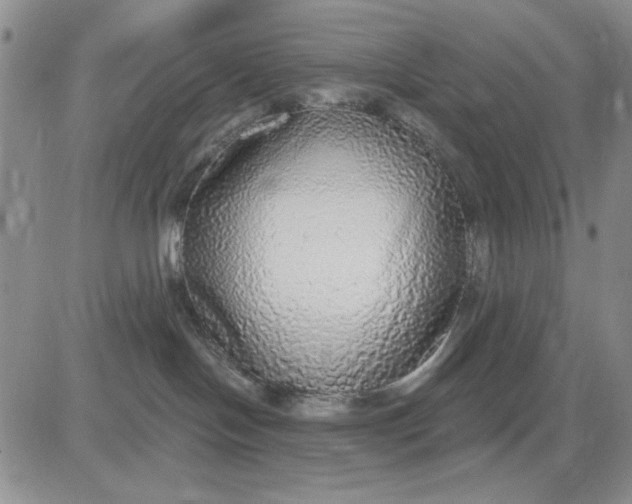 X0000081320094200701251819