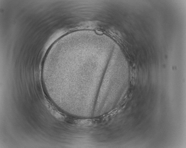 X0000081320100200701251818