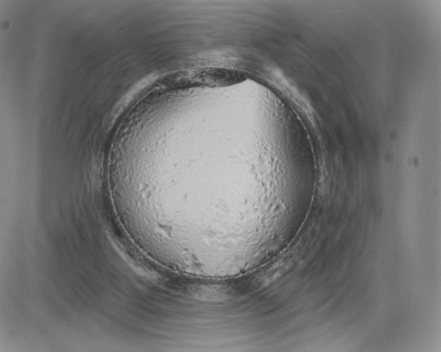 X0000081320107200701251818