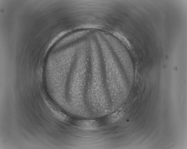 X0000081320108200701251818