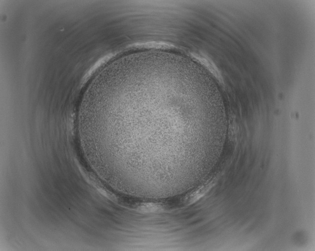 X0000081320111200701251818