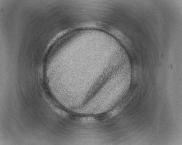 X0000081320112200701251818