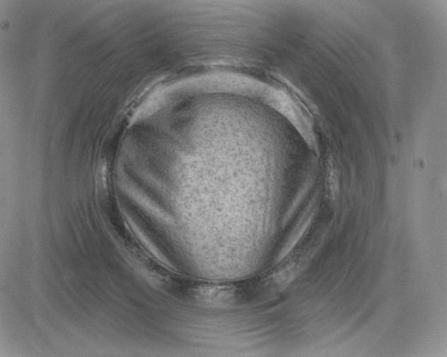 X0000081320117200701251818